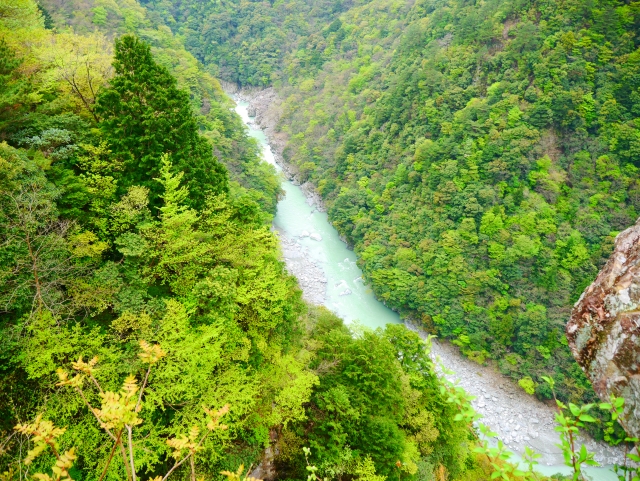 コロンビアのローカル音楽「バジェナート」を徹底解説してみた! Ponmigo